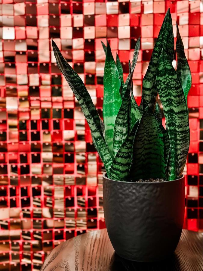Vila Dolly'S Glam Getaway - Glittering Gem Near Broadway Nashville Exteriér fotografie